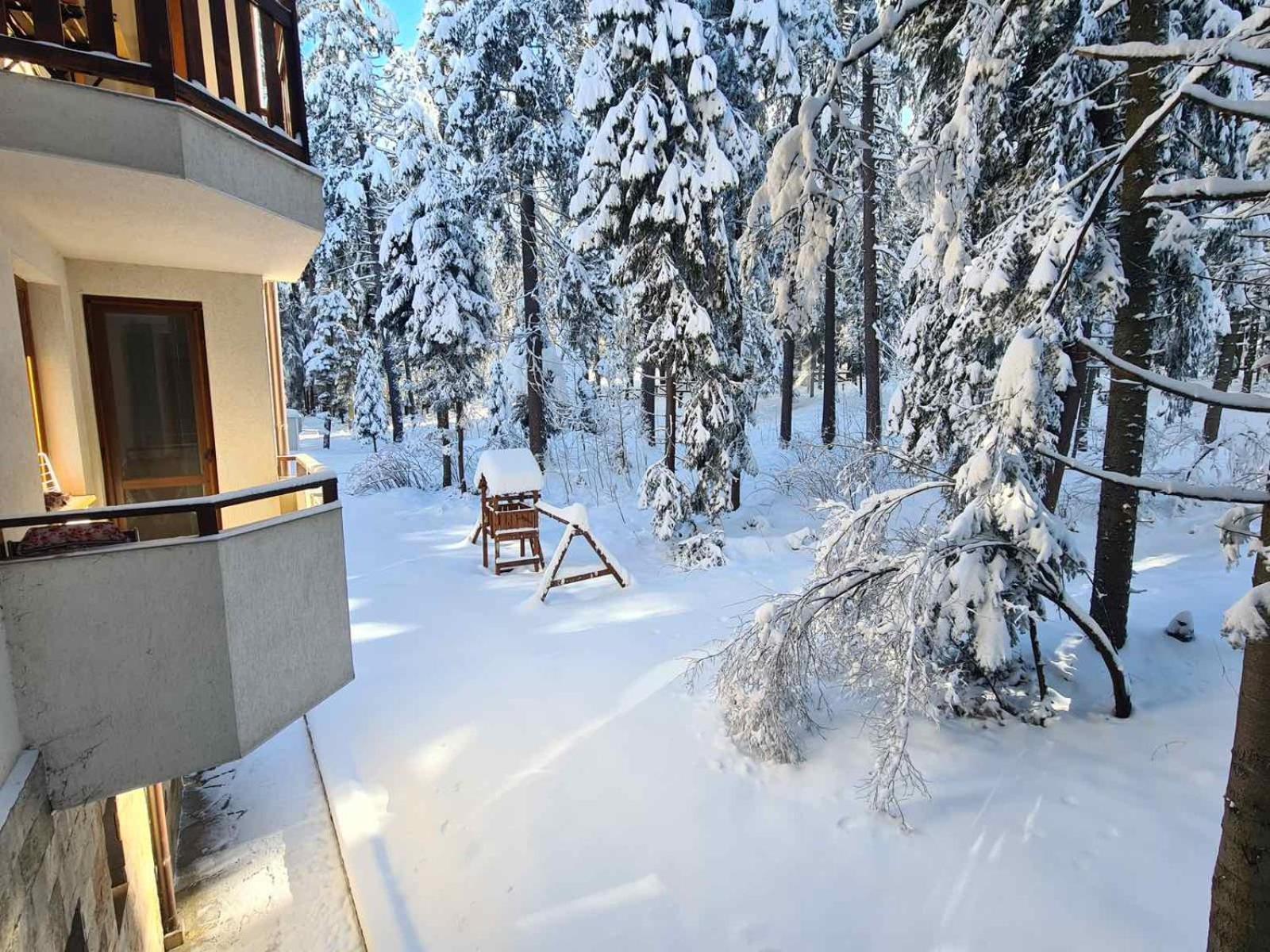 Forest Apartment/ Villa Park 波罗维茨 外观 照片